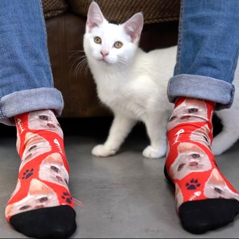 Cat walking by socks with its picture printed on them by lovimals.